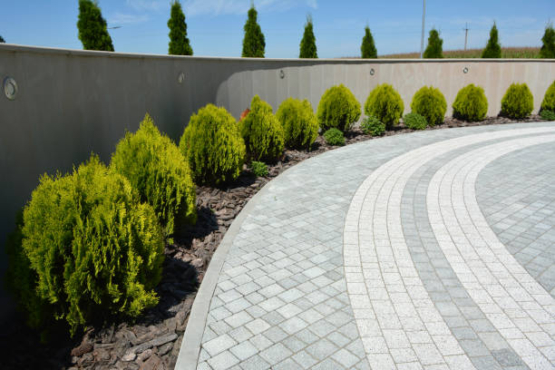 Reasons to Select Us for Your Driveway Paving Requirements in Beebe, AR